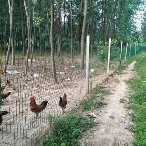 養(yǎng)殖護(hù)欄網(wǎng)